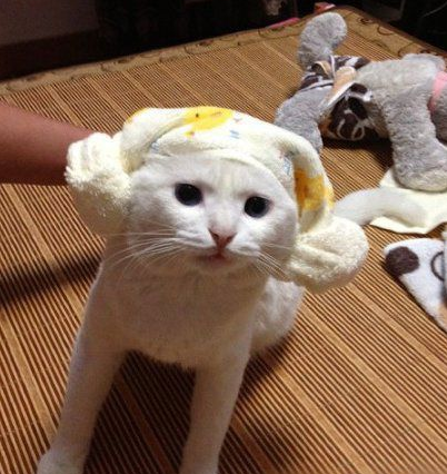 大家看看我今儿个的造型还行么！