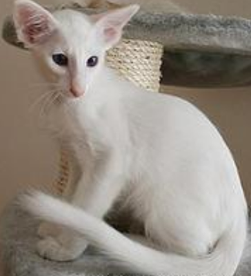 undefined{{pos:,w:,h:}}