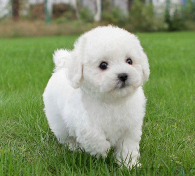 undefined{{pos:,w:,h:}}