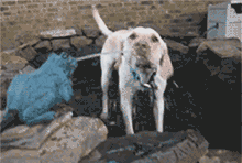 只是喝个水，要不要这么凶残呀