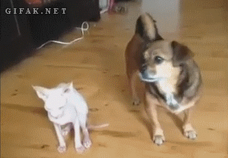 谁是你最好的朋友？——他！