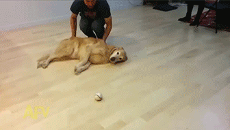 没有最懒，只有更懒