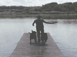 你以为我俩跟你一样傻啊？