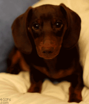 你干嘛老是看着我，好害羞