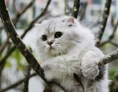 undefined{{pos:,w:,h:}}