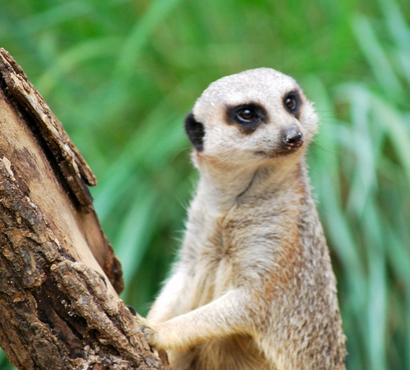 undefined{{pos:,w:,h:}}