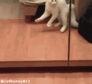 你谁？干什么的！