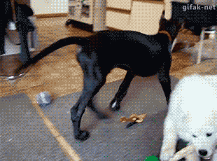 心机婊，你是不是在擦屁股