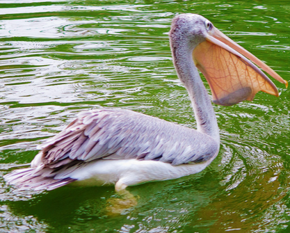 undefined{{pos:,w:,h:}}