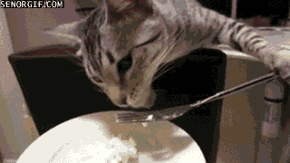 味道不错，再来一勺