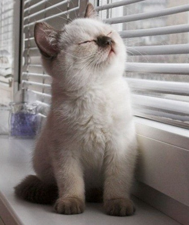 再没有比一个人晒太阳更惬意的事了