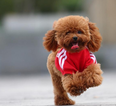 undefined{{pos:,w:,h:}}