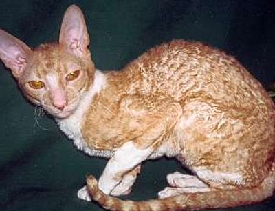 undefined{{pos:,w:,h:}}