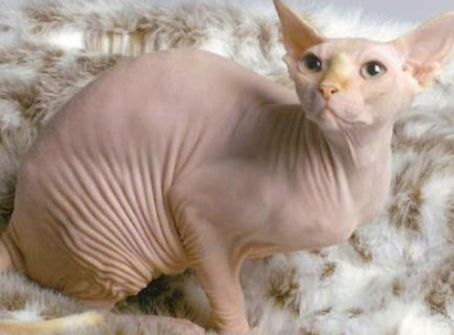 undefined{{pos:,w:,h:}}