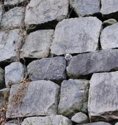 你，你，你也大闹天宫啦？