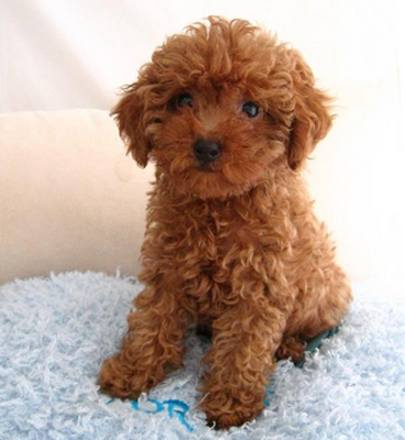 undefined{{pos:,w:,h:}}