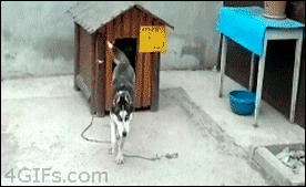 二位大爷慢走，有空常来玩啊