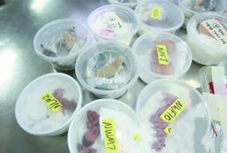 undefined{{pos:,w:,h:}}