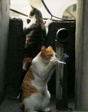 快点，老师快来了 该我了。。。