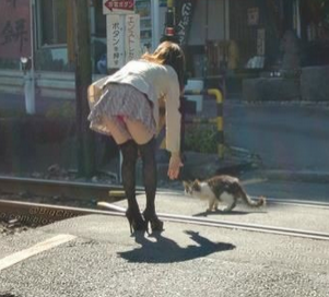 猫咪很可爱，你说是吧