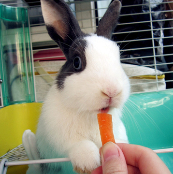 麻麻给的啥东东啊