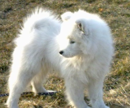 undefined{{pos:,w:,h:}}