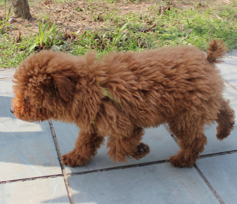 undefined{{pos:,w:,h:}}