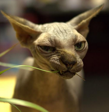 undefined{{pos:,w:,h:}}