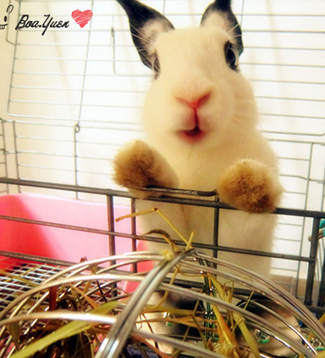 嗨～～，欢迎参观^^