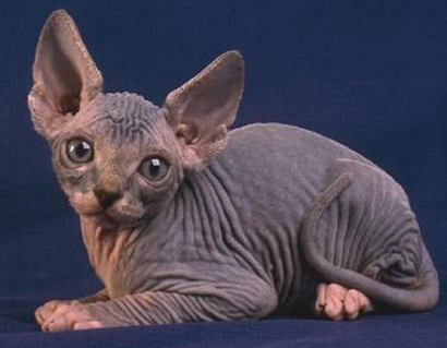 undefined{{pos:,w:,h:}}