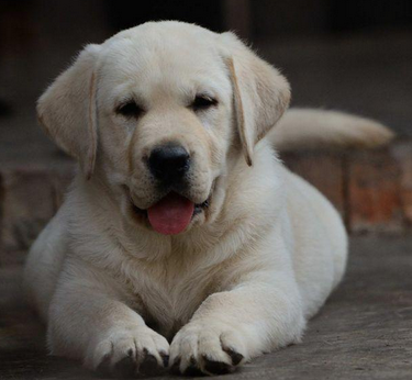 undefined{{pos:,w:,h:}}