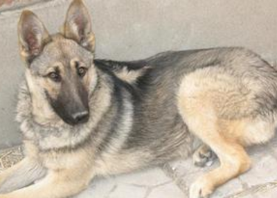 undefined{{pos:,w:,h:}}