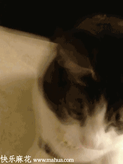 0条小鱼干今天打折超划算，买买买