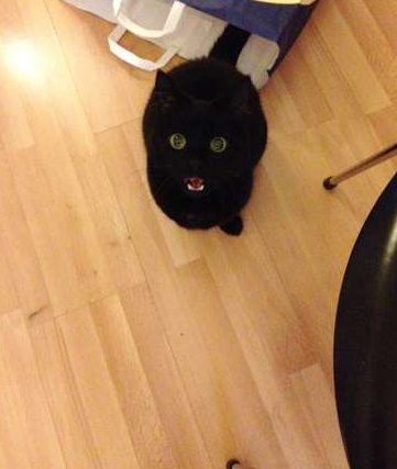 都黑成一个球了