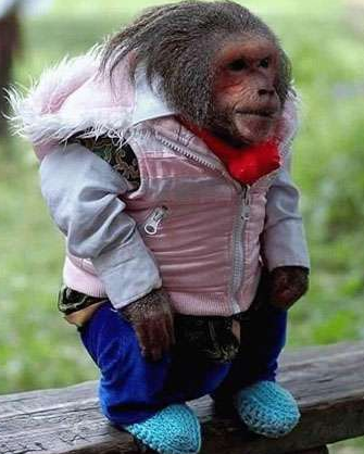 穿的美美的去约会