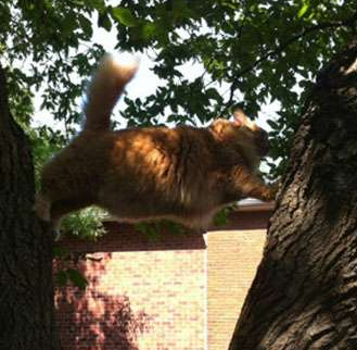 谁来帮帮啊，下不去了