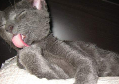 undefined{{pos:,w:,h:}}