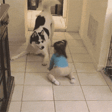 哎呀，急死汪了，怎么走路都不会呢？