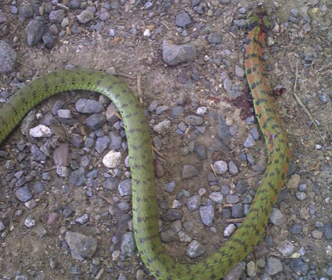 undefined{{pos:,w:,h:}}