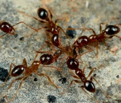 undefined{{pos:,w:,h:}}