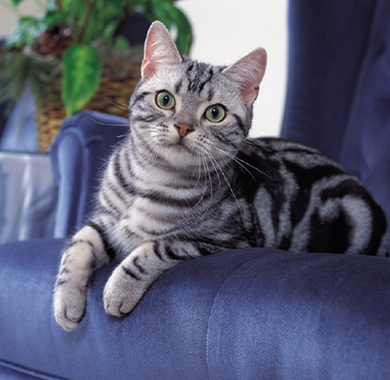 undefined{{pos:,w:,h:}}