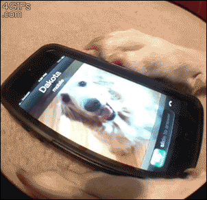 车震谁不会呀！