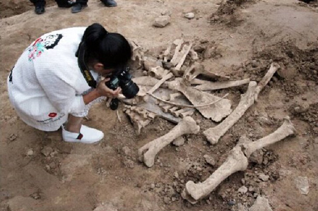 undefined{{pos:,w:,h:}}