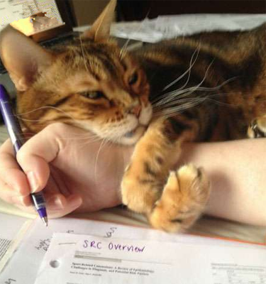 别写了 陪我出玩