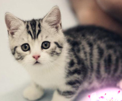 undefined{{pos:,w:,h:}}