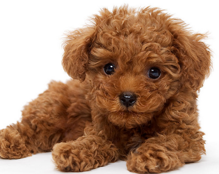 undefined{{pos:,w:,h:}}