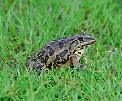 undefined{{pos:,w:,h:}}