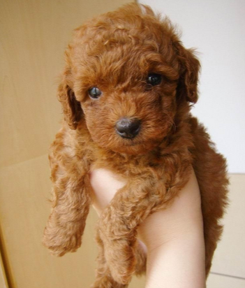 undefined{{pos:,w:,h:}}