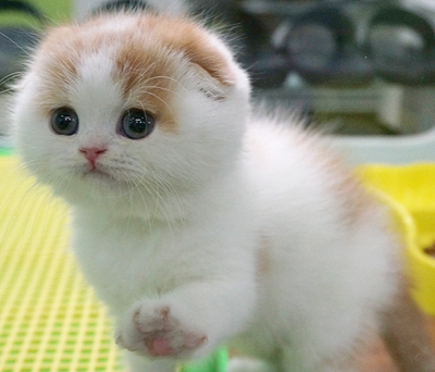 undefined{{pos:,w:,h:}}