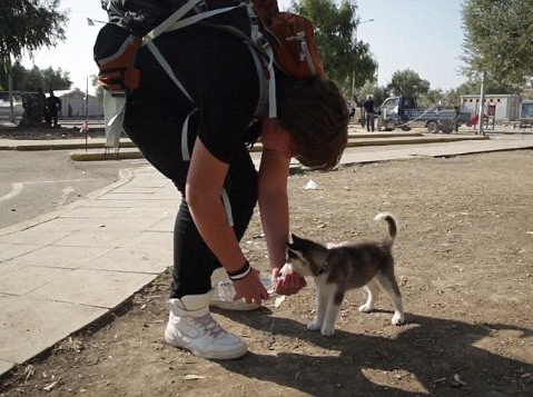 undefined{{pos:,w:,h:}}